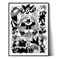 #412 "Mandala for a Clown"